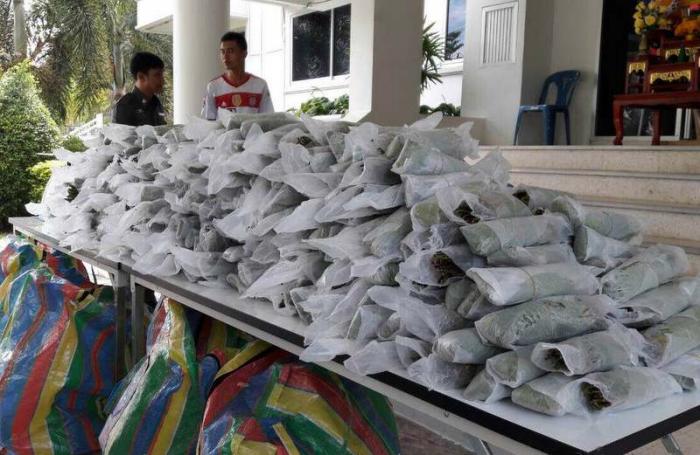 Phuket couple busted with 741 bundles of kratom