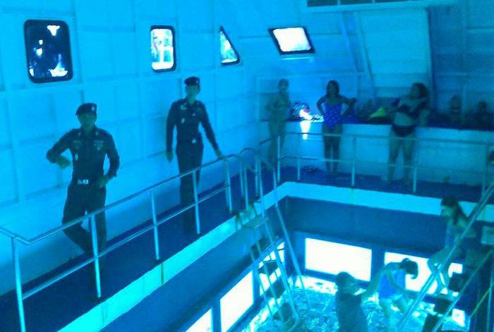 Phi Phi boat owner charged for “aquarium in the wild’