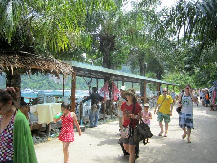 No change in Phi Phi national park fees