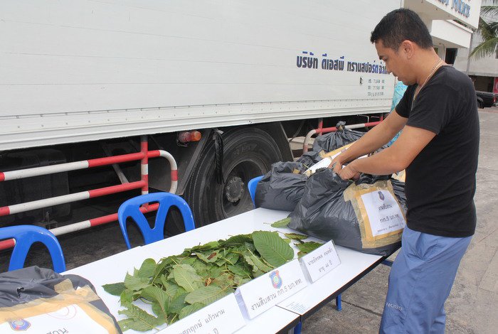 Tourist Police intercept kratom shipment to Phuket