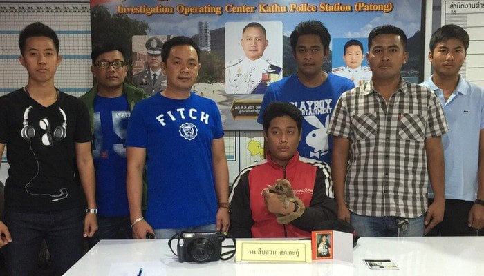 Phuket police arrest slow loris tout in Patong