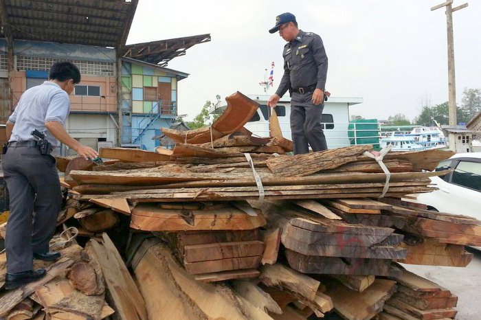 Police seize bumper haul of illegal lumber