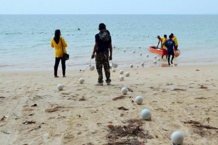 Phuket park officials set “no go’ zone to protect new reef