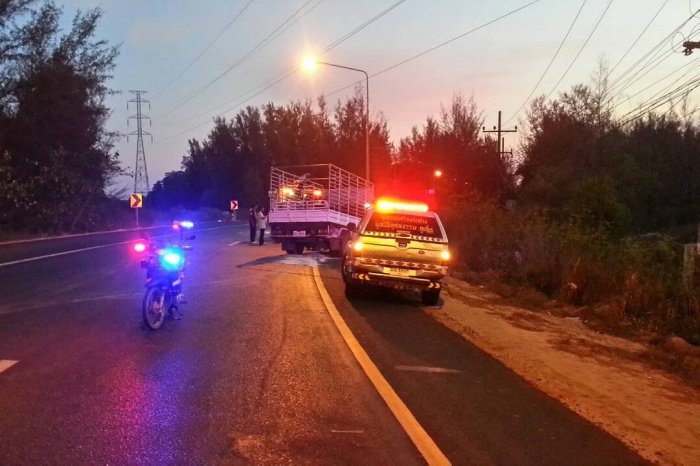 Two dead as ghost-driving pick-up slams head-on into six-wheeler