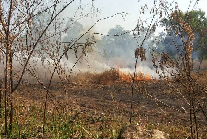 Dry-season fire warning issued for Phuket