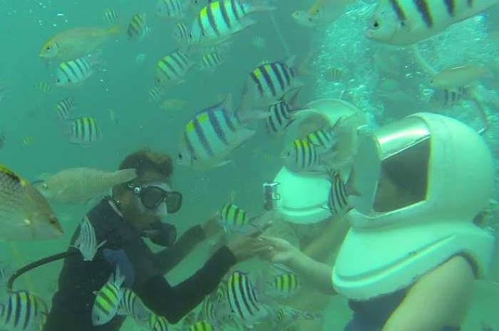 Tour company pulls down Phuket “marine life abuse’ video