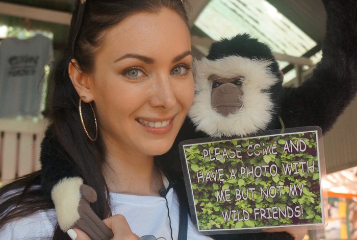 Former Miss Universe fights Phuket gibbon touts