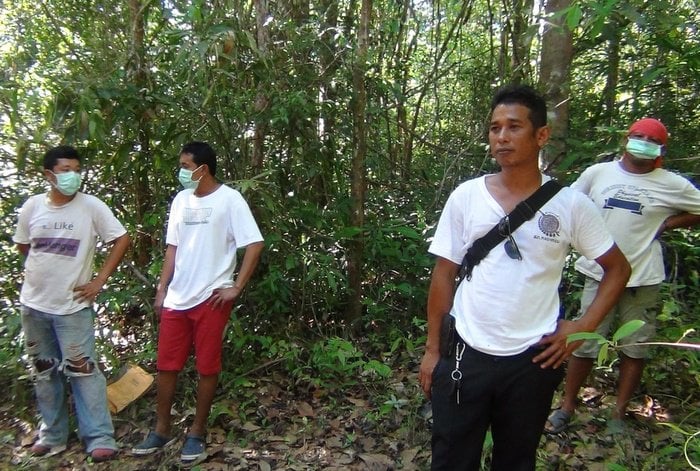 Illegal pangolin traders killed in Krabi double-homicide