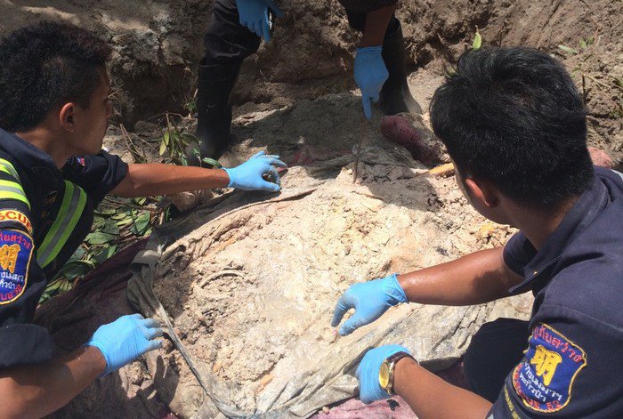 Suspected human-trafficking victim’s body uncovered in Phang Nga