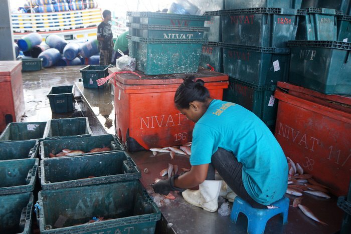 Official denies knowledge of two-month illegal fishing grace period