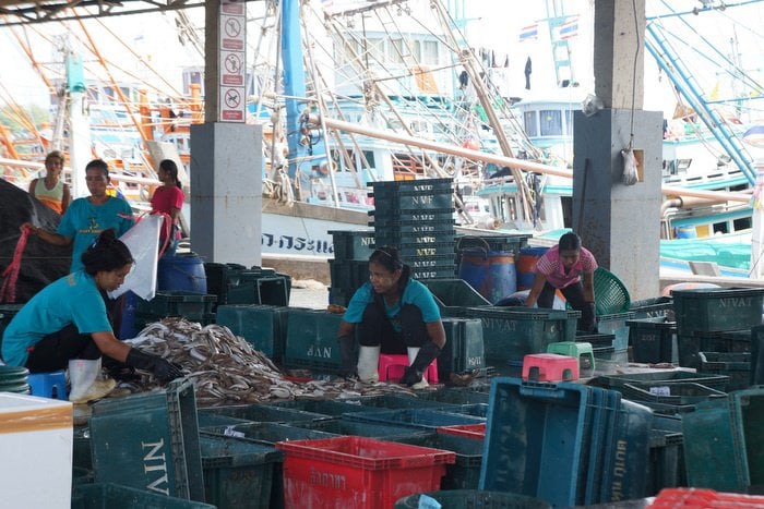 Phuket fishing boats vow to remain ashore amid strict regulations