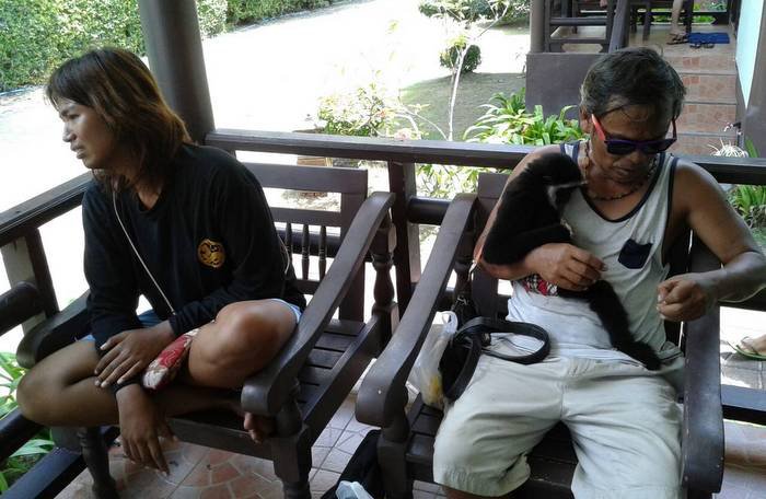 Phi Phi gibbon touts arrested