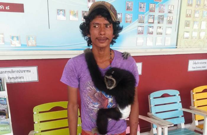 Monkey Beach gibbon tout arrested