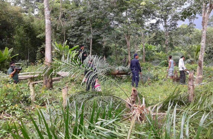 Navy levels illegal rubber, oil palm plantations