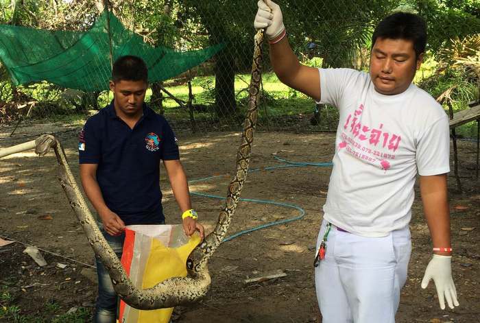 Python enjoys breakfast at Governor’s Residence