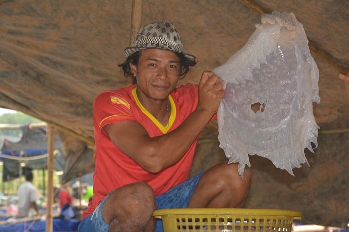 Edible jellyfish help Krabi fishermen earn extra cash