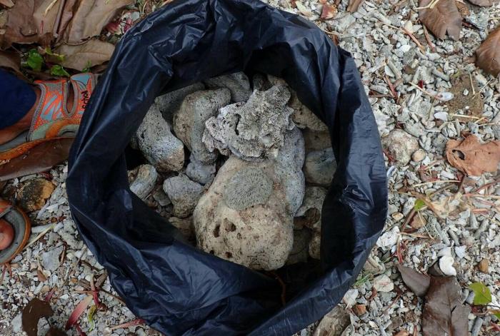 Dead coral seized at meditation sanctuary