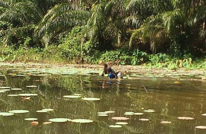 Krabi man dies collecting snails