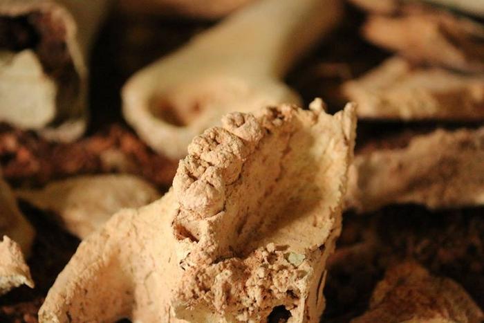 Human skulls in Krabi mark possible ancient burial site