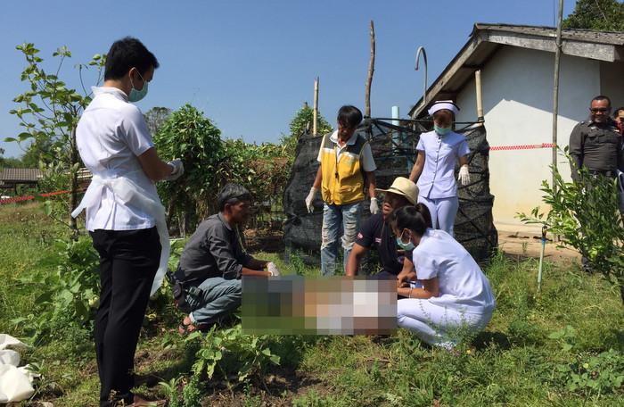 Krabi kratom thief found dead near tree