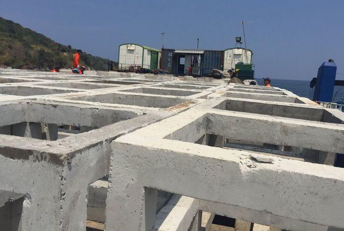 Artificial reef sunk off Tri Trang Beach