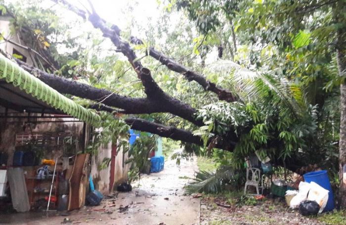 Fierce storms cause more than B300,000 worth of damage