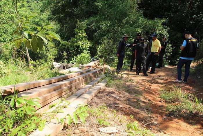 Illegal lumber cache confiscated in protected forest