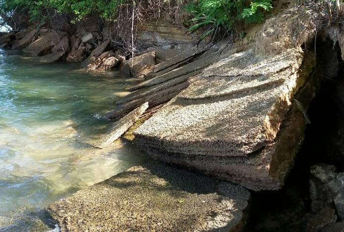 Storms damage famous fossils in Krabi