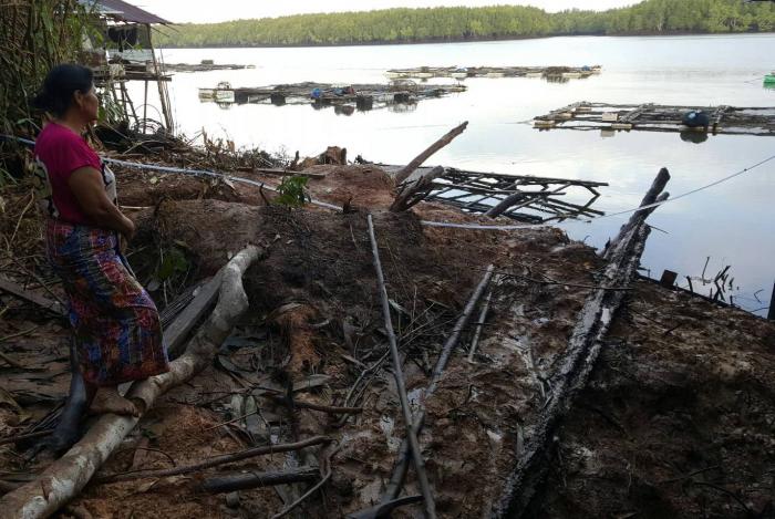 Family narrowly escapes being crushed in landslide