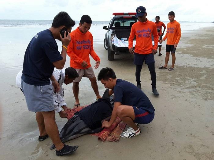 Rescue operation underway to save injured dolphin