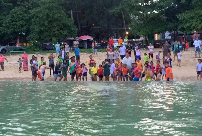 Dolphin dies despite locals’ efforts