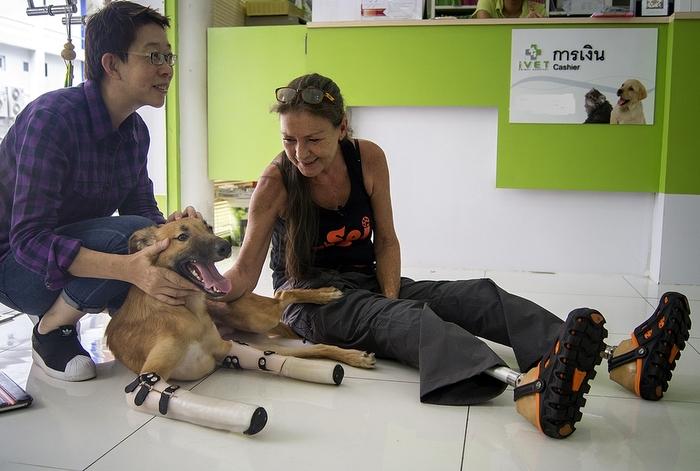 Soi dog walks again