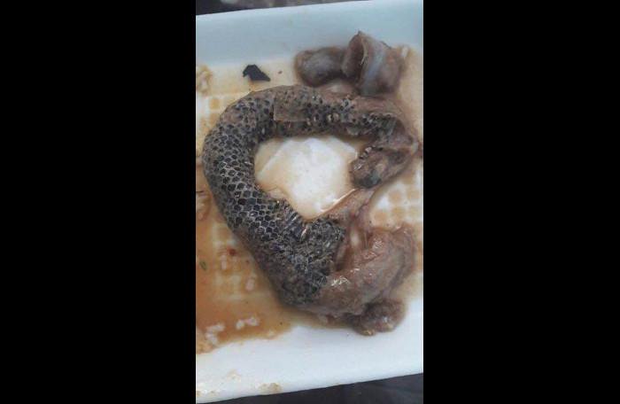 Woman finds snake in her paste tin