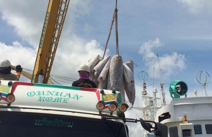 2,700 tonnes of frozen fish moved off detained vessel