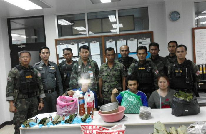 Mother, son among four arrested in Phuket krathom bust