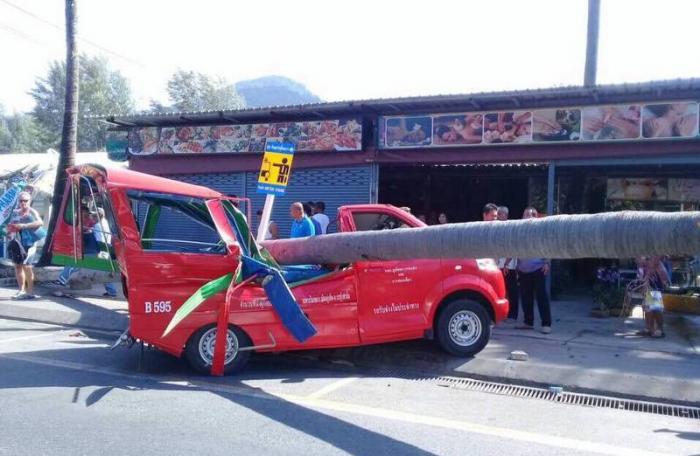 Falling tree damages tuk-tuk, injures driver in Phuket