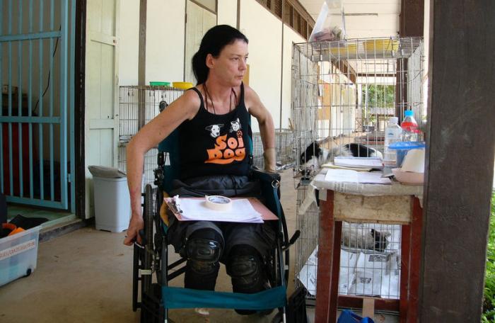 Soi Dog founder Gill Dalley to be cremated in Phuket