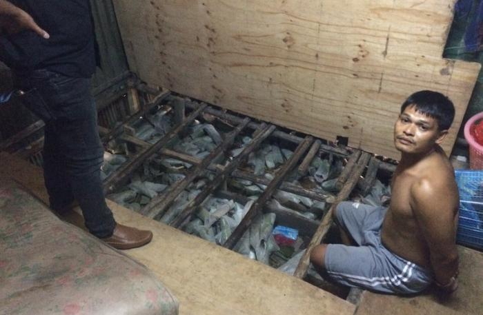 Phuket police confiscate krathom stash from secret underground room