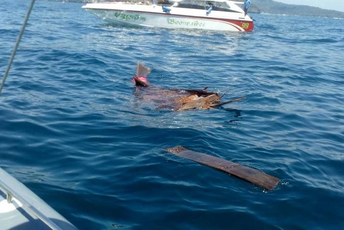 Phuket-bound speedboat crashes into longtail at Maya Bay