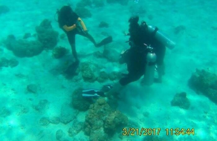 Korean tourists and dive instructor ‘hunted’ for damaging coral off Phuket