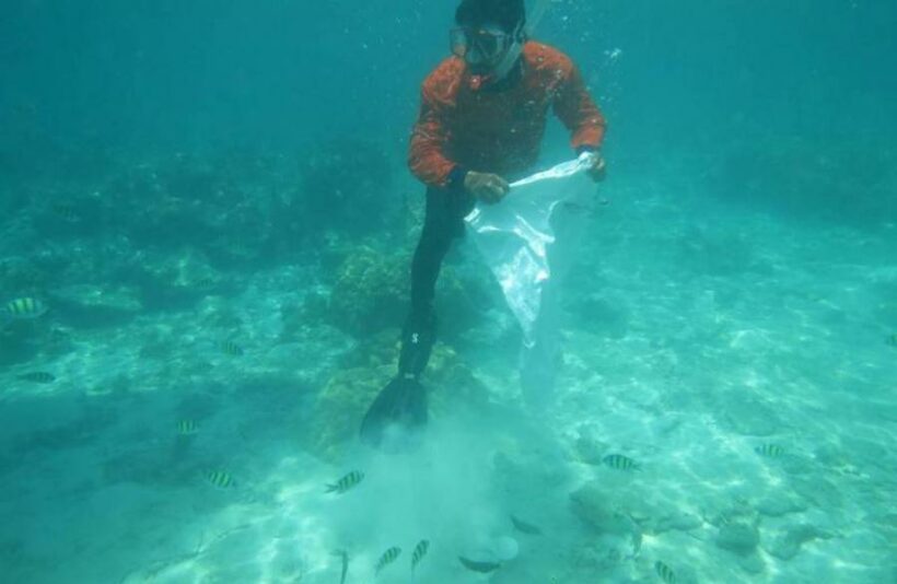 Marine officials return confiscated coral to the ocean