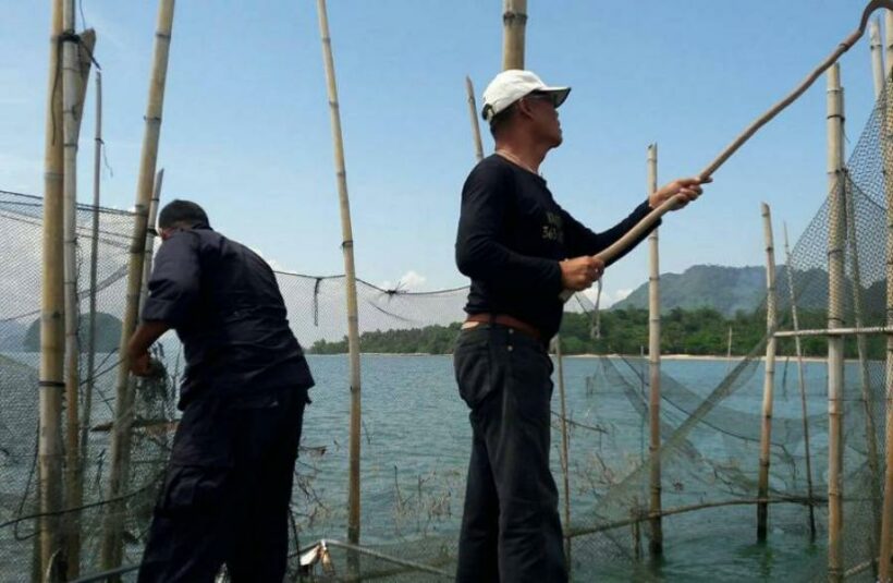 Krabi officials remove dozens of illegal fishing nets