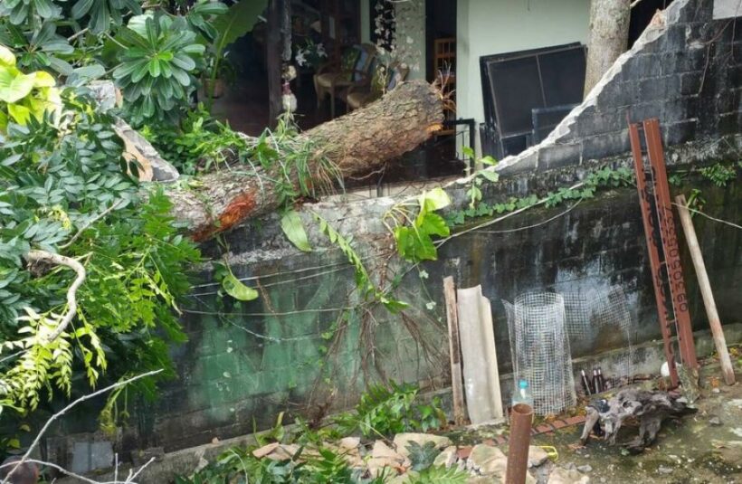 Heavy downpours damage property in Phuket