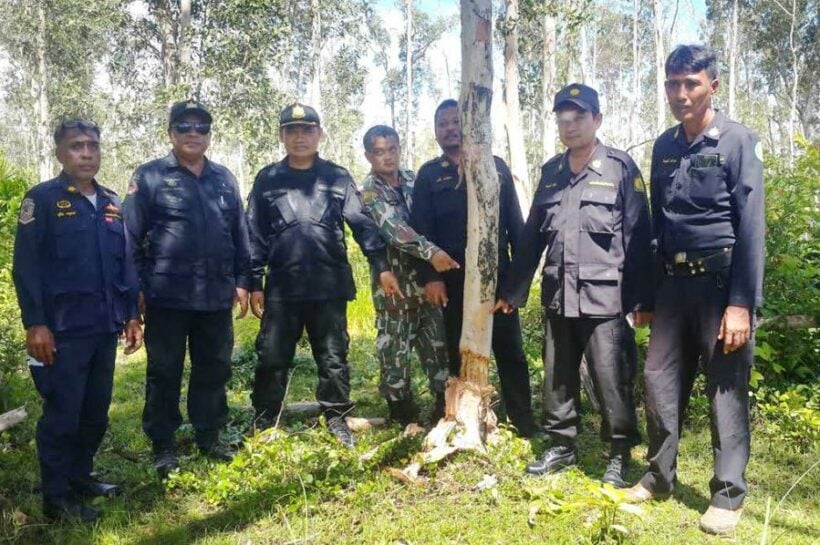 Forestry and Wildlife officers on Koh Lanta seize 100 rai of violated land