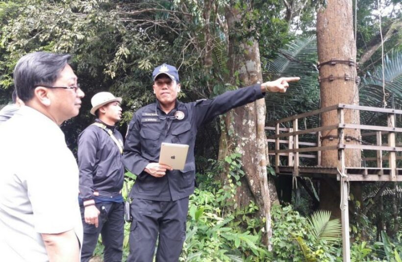 Zipline business under investigation for forest encroachment