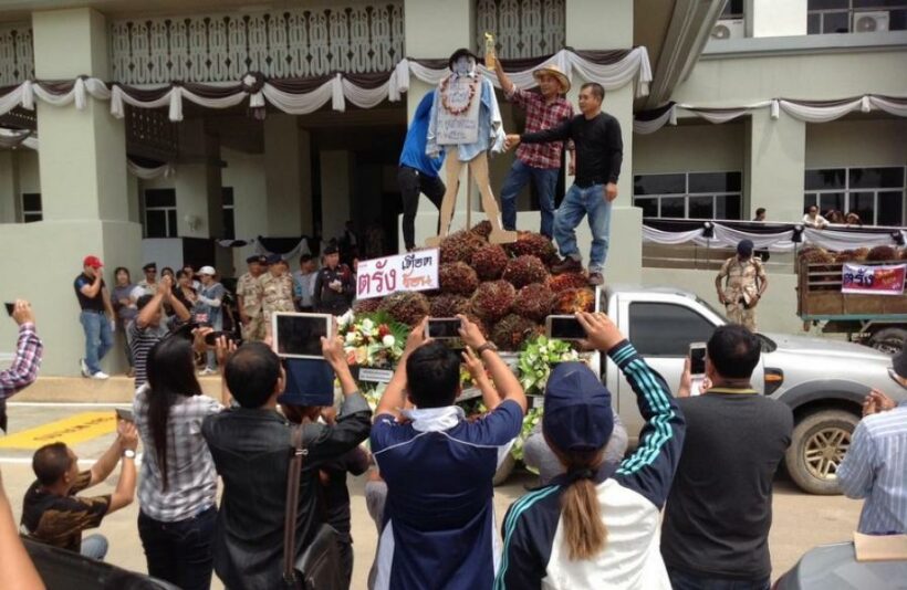 Angry mob burns effigy to protest falling palm oil prices