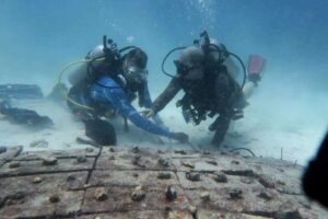 Fixing Phuket's coral. Restoration projects around Phuket | News by Thaiger