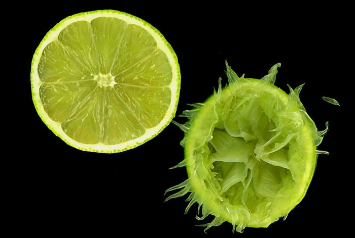 Gardening: Citrus celebrities – limeys and limes