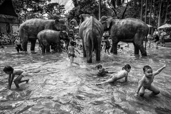 Suthas Rungsirisilp wins Thailand National Award at 2014 Sony World Photography Awards