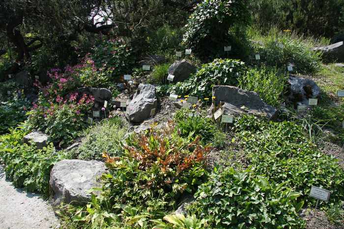 Between a rock and a hard place: planning a rockery.